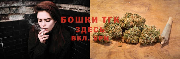 шишки Балабаново