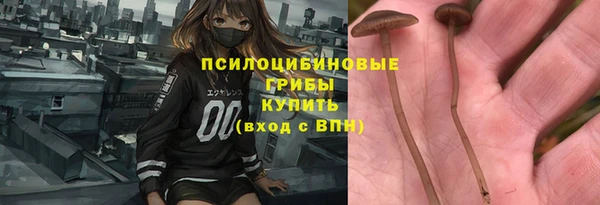 амф Снежногорск