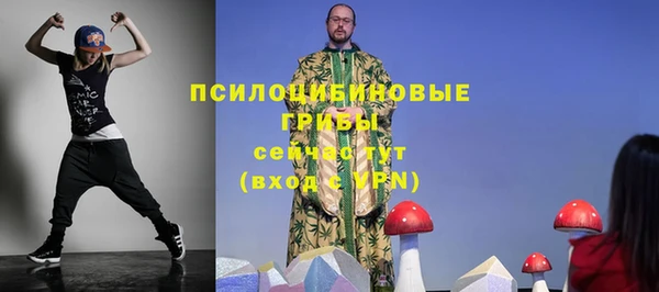 шишки Балабаново