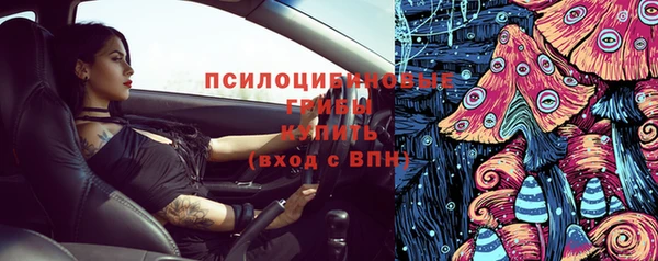 шишки Балабаново