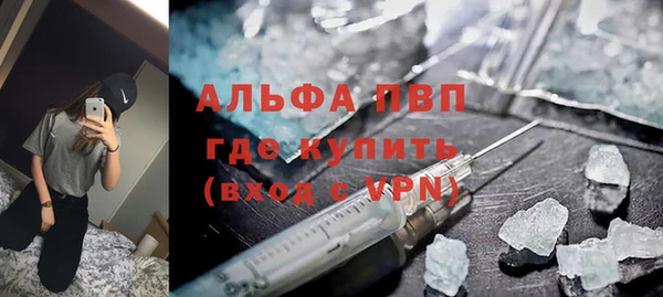 амф Снежногорск