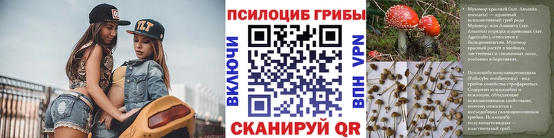Псилоцибиновые грибы GOLDEN TEACHER Беломорск